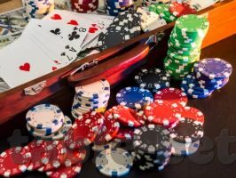 3d森林舞会官网-3D森林舞会，沉浸式体验自然之美的数字乐园