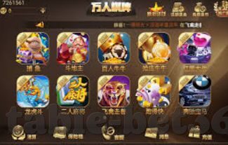 德州扑克 中文版-德州扑克，智慧与策略的博弈