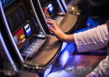 森林舞会2手机版-森林舞会2手机版的魅力与体验
